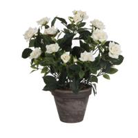 Decoratieve plant Mica Decorations Rosal Keramisch PVC Decoratieve plant Mica Decorations Rosal Keramisch PVC