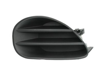 Ventilatiegrille, bumper 5510008155996PP
