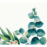 Design servetten Eucalyptus - 60x - wit/groen - 33 x 33 cm - thumbnail