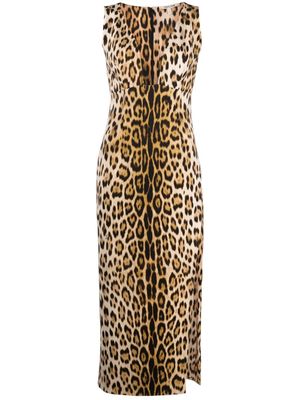Roberto Cavalli robe mi-longue à imprimé léopard - Tons neutres
