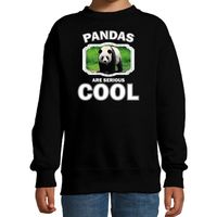 Dieren grote panda sweater zwart kinderen - pandas are cool trui jongens en meisjes - thumbnail