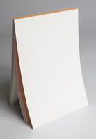 De onzichtbare schilder (Paperback)