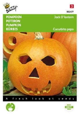 Pompoenen Jack O Lantern (Cucub.Pepo) - Buzzy