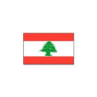 Gevelvlag/vlaggenmast vlag Libanon 90 x 150 cm   -