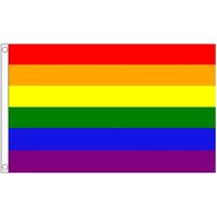 Vlag met regenboog print 90 x 150 cm   - - thumbnail