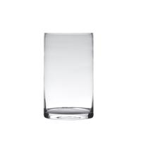 Hakbijl Glass Vaas - cilinder - glas - transparant - 15 x 40 cm - Bloemen/takken/boeketten Hakbijl Glass Vaas - cilinder - glas - transparant - 15 x 40 cm - Bloemen/takken/boeketten