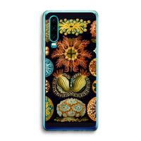 Haeckel Ascidiae: Huawei P30 Transparant Hoesje