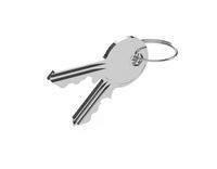 Schlüssel 101 (Paar)  - Special lock system for enclosure Schlüssel 101 ( set) - thumbnail