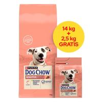 PURINA Dog Chow Sensitive Salmon - droog hondenvoer - 14 + 2,5kg