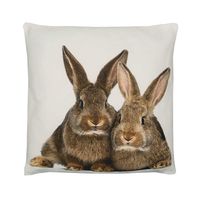 Sierkussen Canvas 2 Bruine Konijnen (50 x 50 cm) - thumbnail