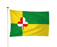 Vlag Tzum - Tsjom (fr)