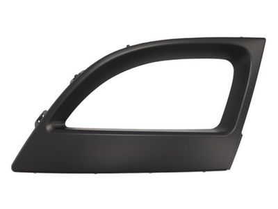 Ventilatiegrille, bumper 5510006046991PP