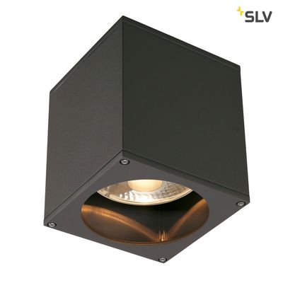 Plafondlamp buiten BIG THEO GU10 Antraciet