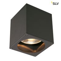 Plafondlamp buiten BIG THEO GU10 Antraciet