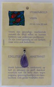 Steengoed Sterrenbeeldsteen hanger vissen