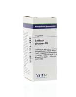 VSM Solidago virgaurea D6 10 Gram