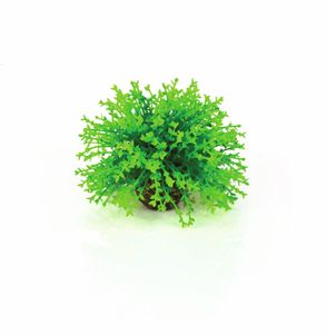 Decobol groen - biOrb
