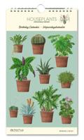 Houseplants Hortus Botanicus Verjaardagskalender
