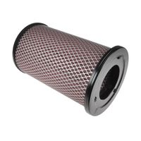 Luchtfilter ADN12274