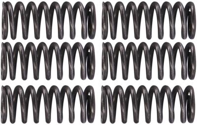 TRW koppelingsveren set clutch spring kit mef162-6