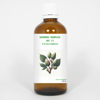 Balancepharma Gemmo simplex 15 ficus carica 100 Milliliter