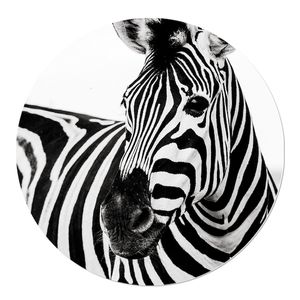 Muurcirkel Zebra Standaard hout 20 White PVC