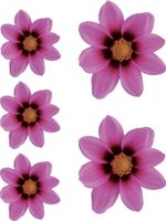 Sticker Flower Garden - roze - 2x 16x15cm + 3x 8,5x8cm AV109315