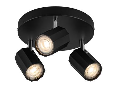 LIVARNO home Plafondlamp (Plafondlamp, mat zwart)