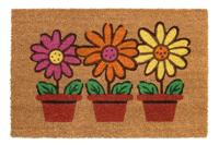 E-Coco Flowerpots 40x60