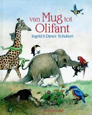 Van mug tot olifant (Hardback)