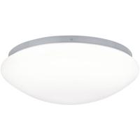 Paulmann Leonis 70980 LED-buitenlamp (wand) LED 10 W Wit