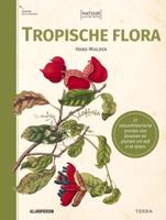 Natuur aan de muur - Tropische Flora (Paperback)