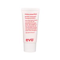 Evo Mane Attention Protein Treatment
