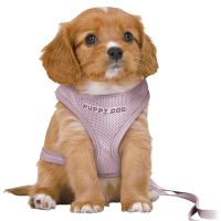 Trixie Hondentuig junior puppy softtuig met riem lila - thumbnail