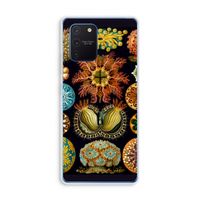 Haeckel Ascidiae: Samsung Galaxy Note 10 Lite Transparant Hoesje