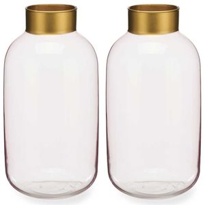 Bloemenvazen 2x stuks - luxe decoratie glas - roze transparant/goud - 14 x 30 cm