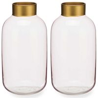 Bloemenvazen 2x stuks - luxe decoratie glas - roze transparant/goud - 14 x 30 cm