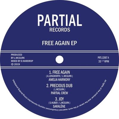 Free Again - 12 inch Vinyl;12 inch Vinyl (2090405259774)