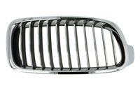 Radiateurgrille 6502070063998P