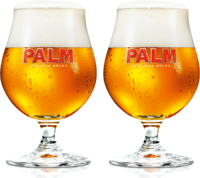 Palm Bierglazen - 250 ml - 2 stuks