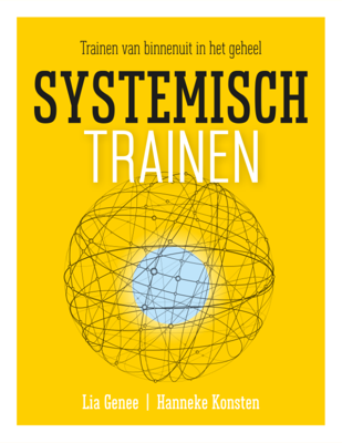 Systemisch trainen (Paperback)