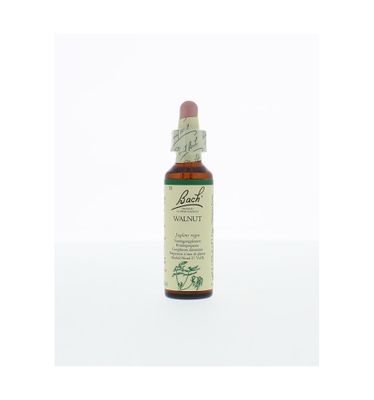 Walnut/walnoot