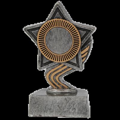 Sportprijzen Leiden Trofee Ster