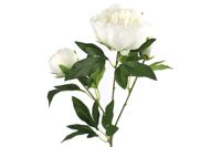 Paeonia kunststof 23x13x73 cm wit kunstbloem - Countryfield