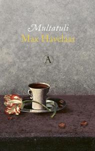 Max Havelaar (Paperback)
