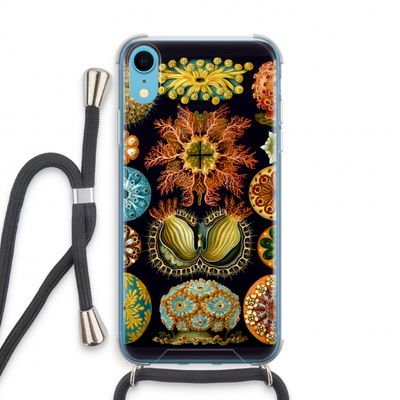 Haeckel Ascidiae: iPhone XR Transparant Hoesje met koord