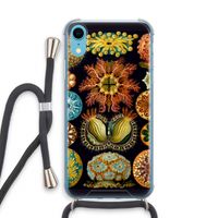 Haeckel Ascidiae: iPhone XR Transparant Hoesje met koord