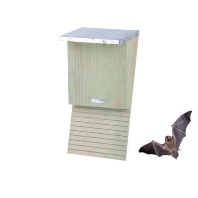 Vleermuiskast - Best for birds