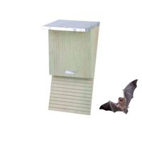 Vleermuiskast - Best for birds