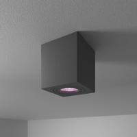 Gibbon - LED smart opbouwspot - vierkant - IP65 waterdicht - GU10 - RGBWW - Wifi + Bluetooth - Google Home, Amazon Alexa en Siri - Zwart - Bestuurbaar via App en Stem
